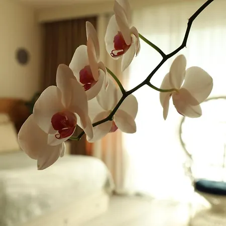 Serene And Tastefully Furnished In Cove Garden * Kharcha